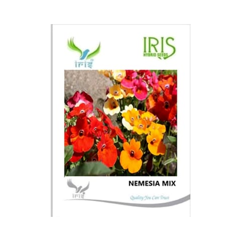 Iris Imported Namesia Mix Seeds