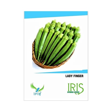 Iris Hybrid F1 Bhindi Seeds