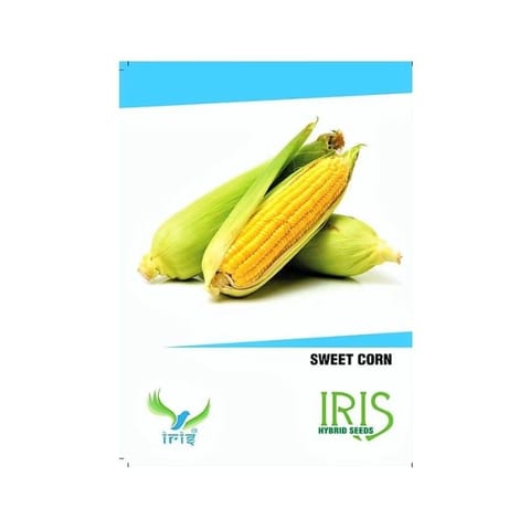 Iris Hybrid F1 Sweet Corn Seeds