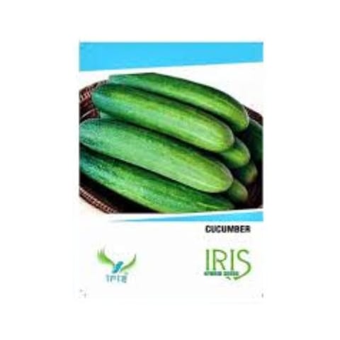 Iris Hybrid F1 Cucumber Seeds