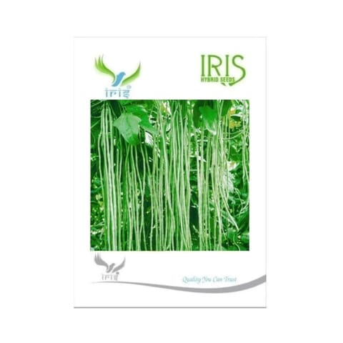 Iris Hybrid F1 Yard Long Beans Seeds