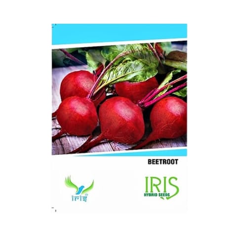 Iris Imported Beetroot Seeds