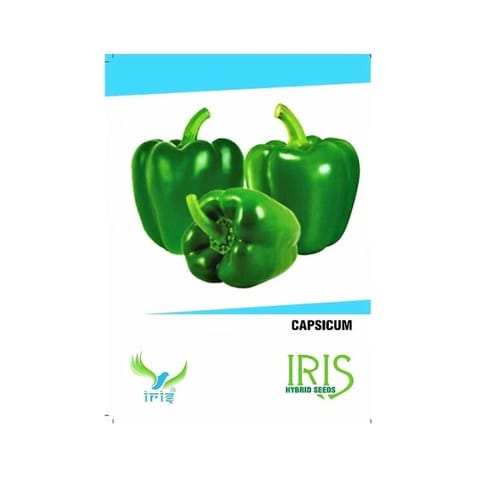 Iris Hybrid F1 Green Capsicum Seeds