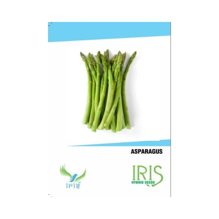 Iris Imported Asparagus Seeds