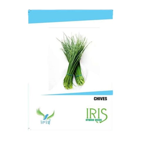 Iris Imported Chives Seeds