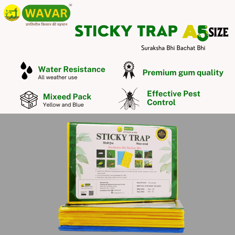 Wavar Yellow & Blue Insect Sticky Trap - 25 Sheets Per Bundle