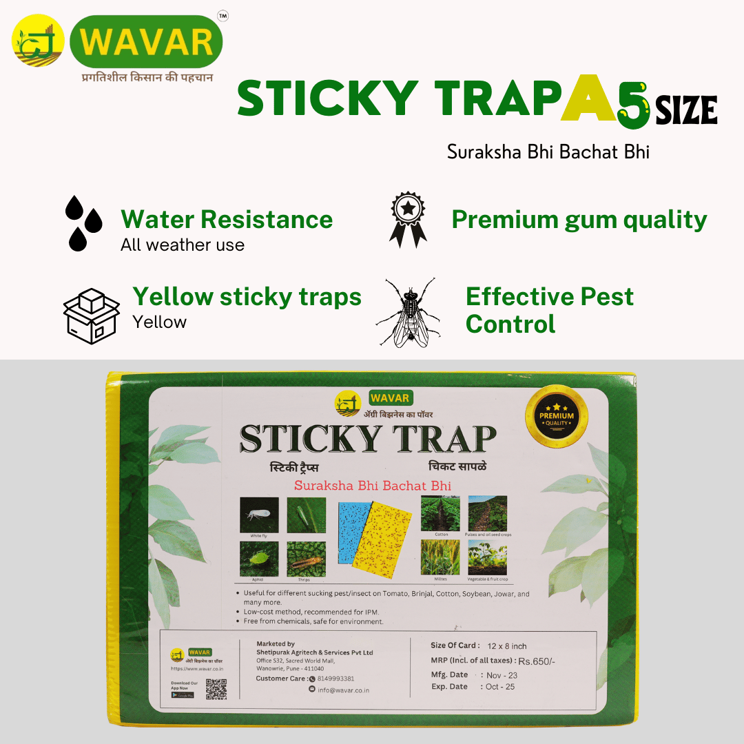 Yellow Sticky Trap: Eco-Friendly Pest Control for Gardens