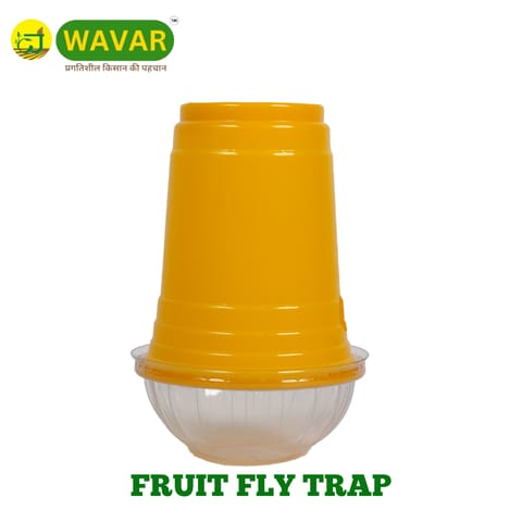 Fruit Fly Trap with Cucurbitae Lure