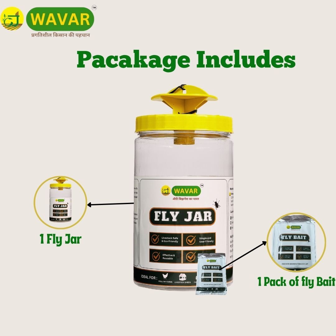 Wavar House Fly Trap with Lure