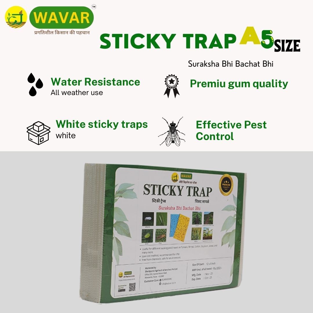 White Sticky Traps for Pest Control: Non-Toxic and Chemical-Free