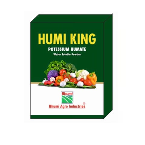 BHUMI HUMI KING