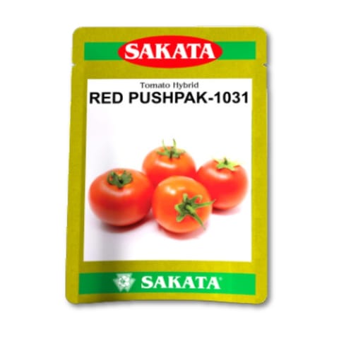 Sakata Red Pushpak-1031 Tomato Seeds