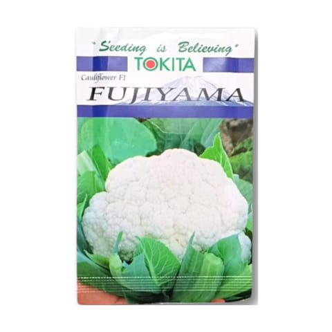 Tokita Fujiyama Cauliflower Seeds