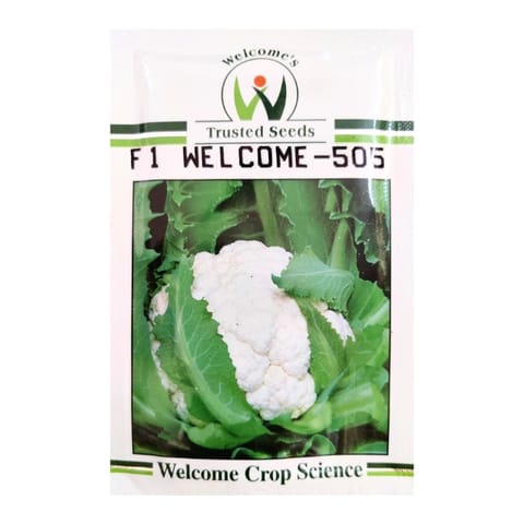 Welcome-505 Cauliflower Seeds