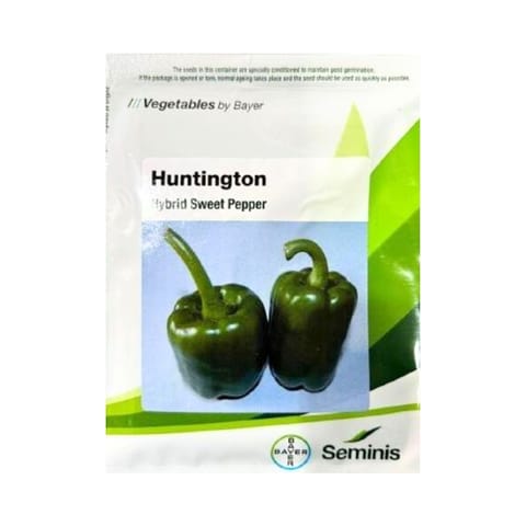 Seminis Huntington Capsicum (Shimla Mirchi) Seeds