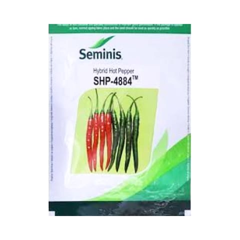 Seminis SHP 4884 Chilli Seeds