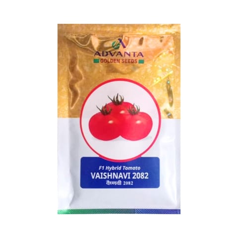 Advanta Vaishnavi 2052 Tomato Seeds