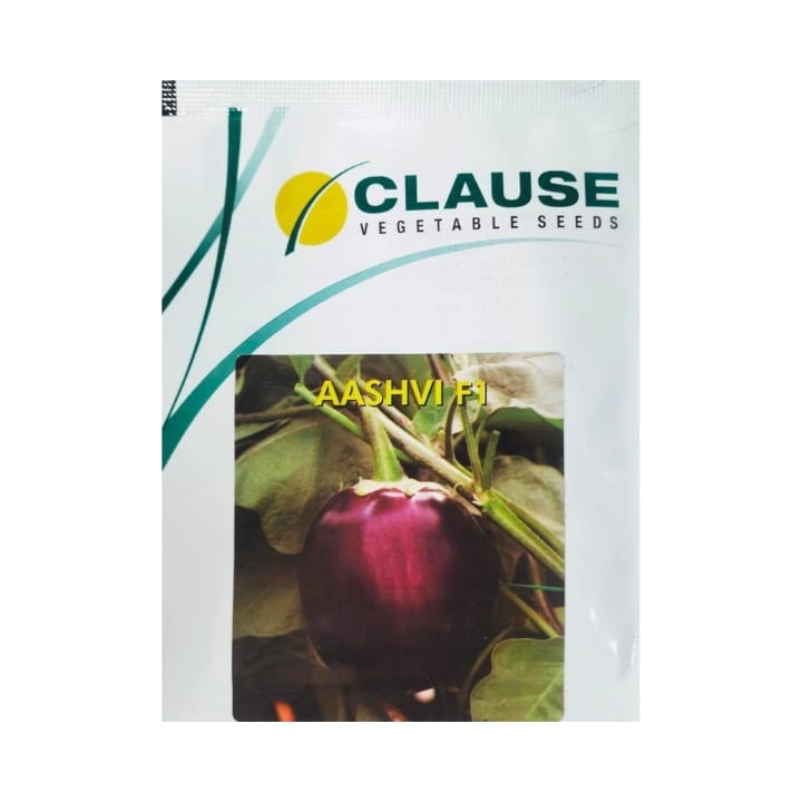 Clause Aashvi Brinjal Seeds