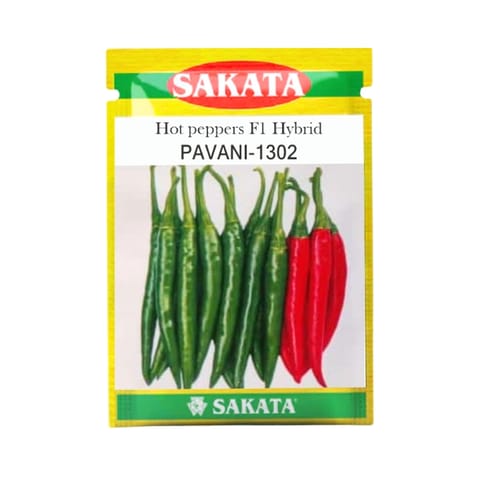 Sakata Pavani-1302 Chilli Seeds