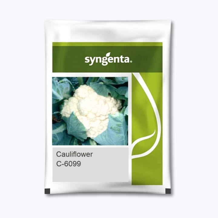 Syngenta C-6099 फूलगोभी