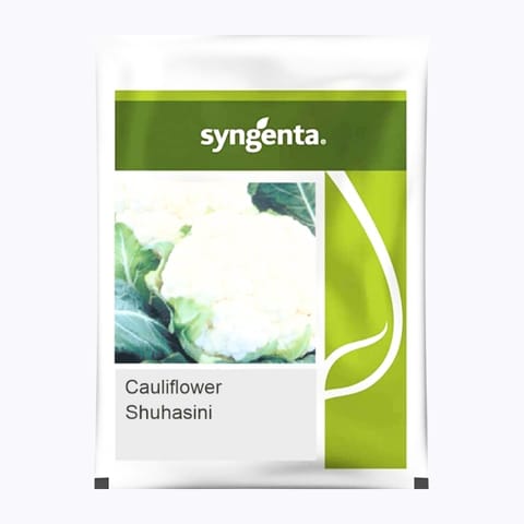 Syngenta Suhasini Cauliflower Seeds