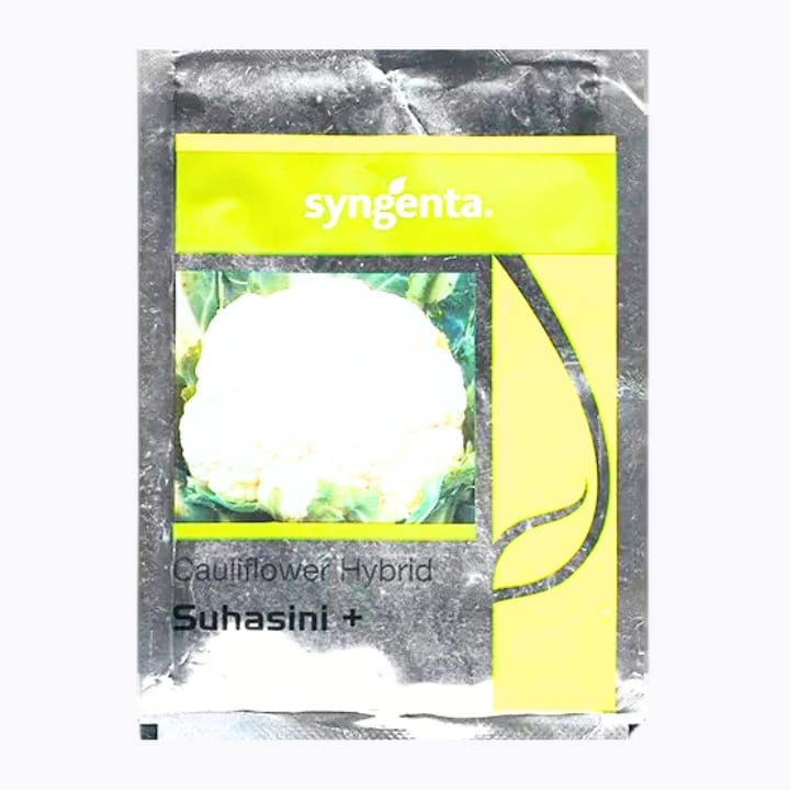 Syngenta Suhasini+ Cauliflower Seeds