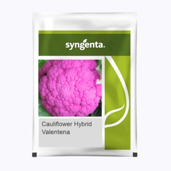 Syngenta Valentena Cauliflower Seeds