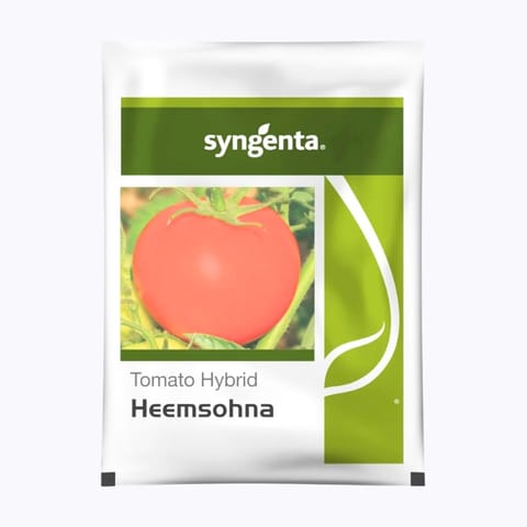 Syngenta Heemsohna Tomato Seeds