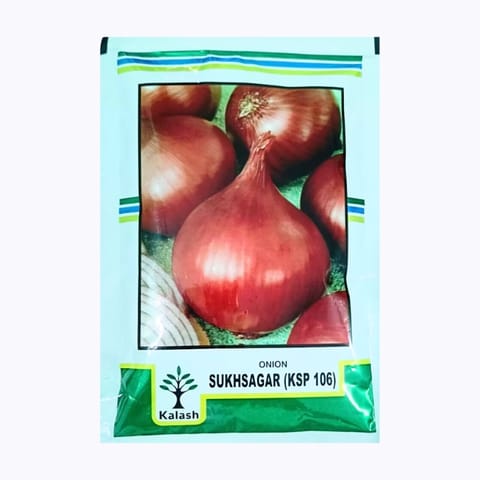 Kalash Sukhsagar (KSP 106) Onion Seeds