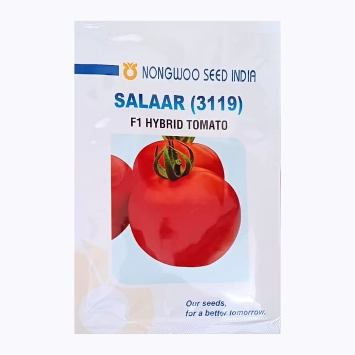 Nongwoo Salaar (3119) Tomato Seeds