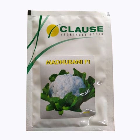 Clause Madhubani F1 Cauliflower Seeds