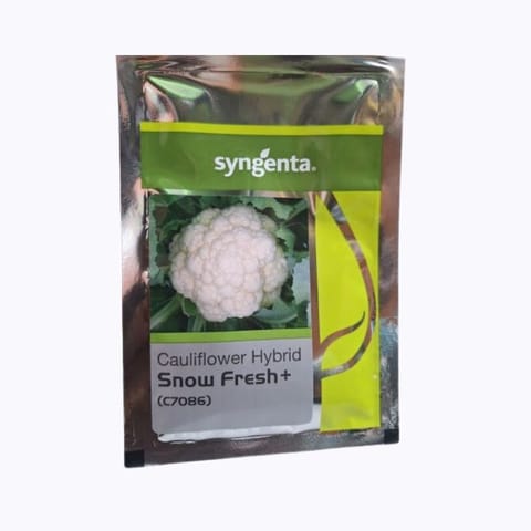 Syngenta Snow Fresh+ Cauliflower Seeds