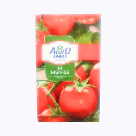 Agro MSN-55 టమోటా విత్తనాలు మంచి