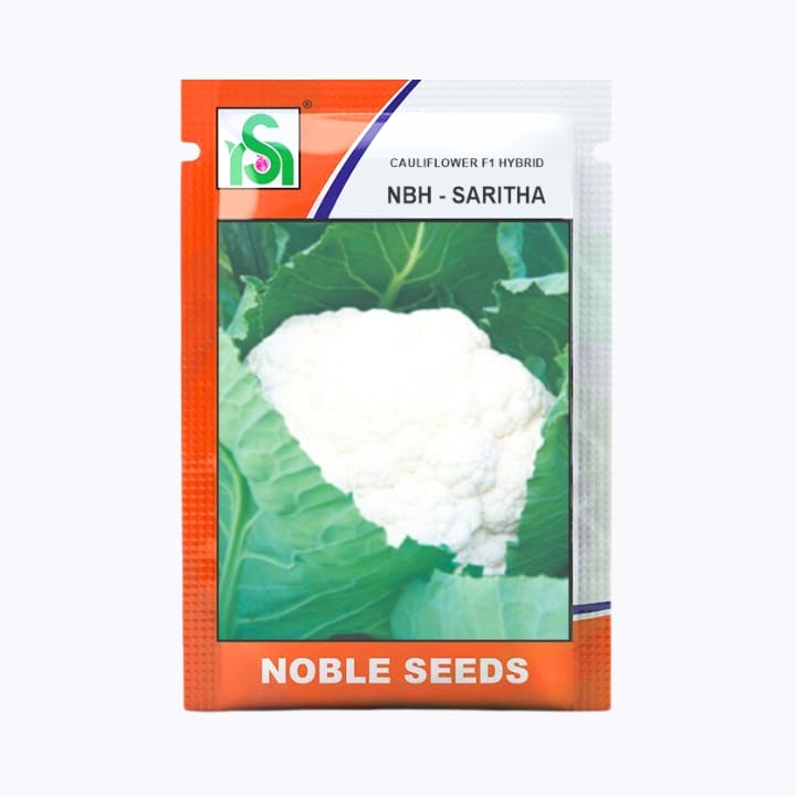 Noble NBH-Saritha Cauliflower Seeds