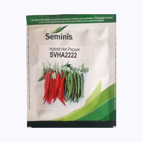 Seminis SVHA2222 Chilli Seeds