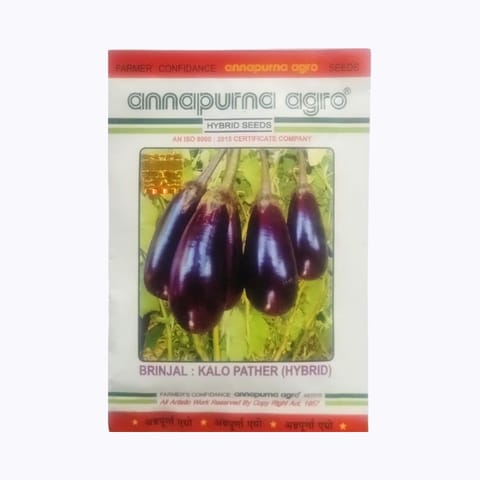 Annapurna Kalo Pather Brinjal Seeds