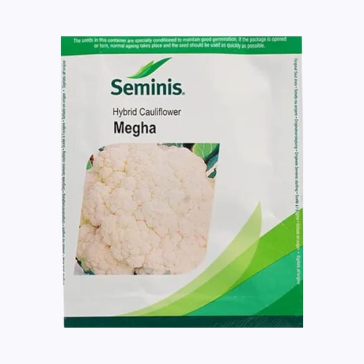 Seminis Megha Cauliflower Seeds