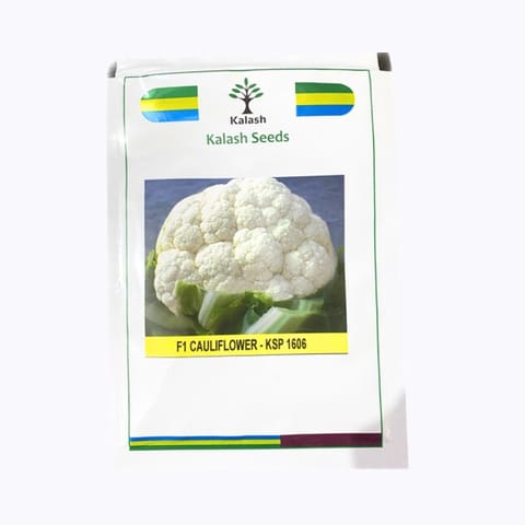 Kalash KSP 1606 Meera Cauliflower Seeds