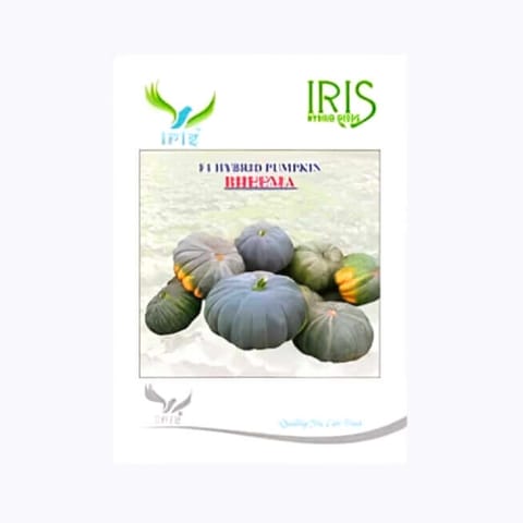 Iris Bheema Pumpkin Seeds