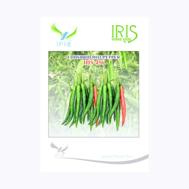 Iris IHS-456 మిరపకాయ విత్తనాలు