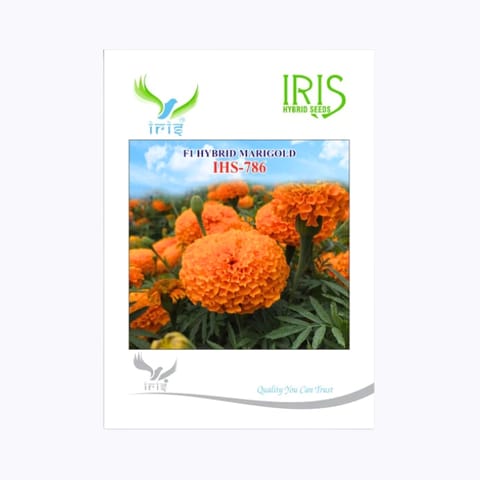 Iris IHS-786 Orange Marigold Seeds