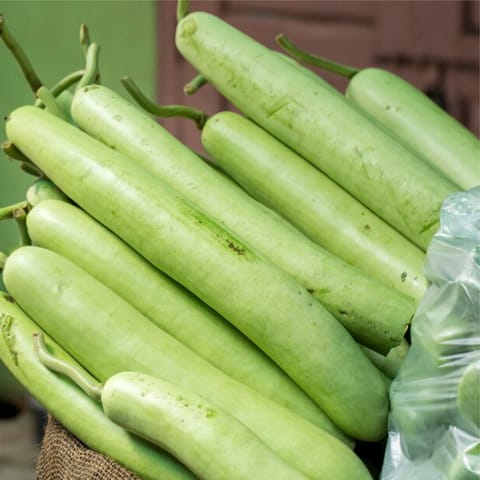 Hybrid F1 Bottle Gourd Seeds