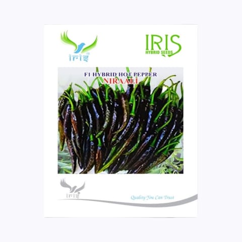 Iris Niraali Hot Pepper Seeds