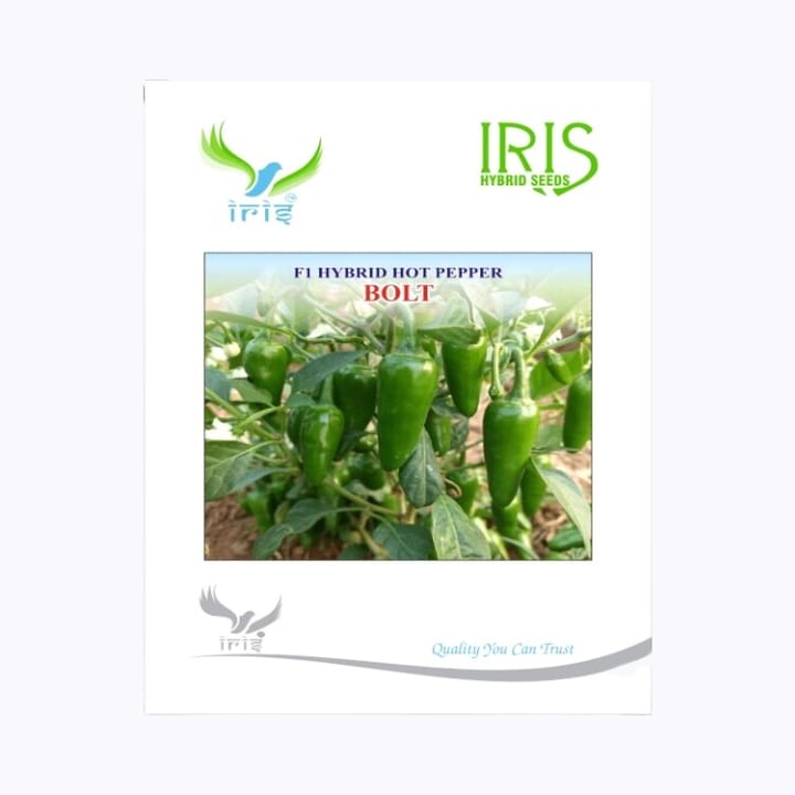 Iris Bolt Hot Pepper Seeds