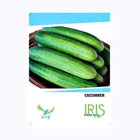 Iris Hybrid F1 Cucumber Seeds