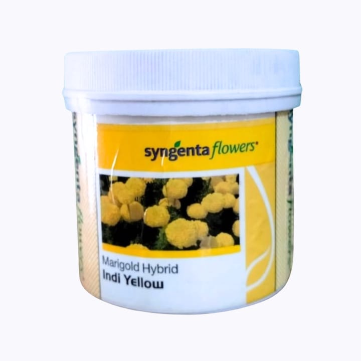 Syngenta Indi Yellow Flower Seeds