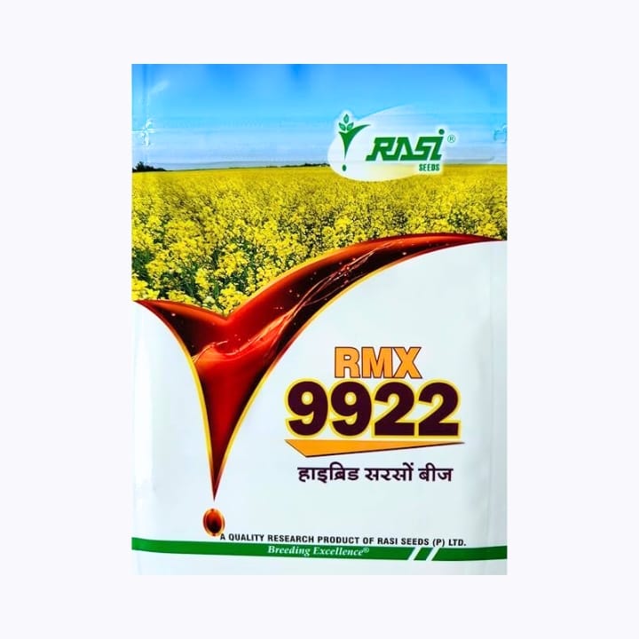 रासी RMX 9922 सरसों के बीज