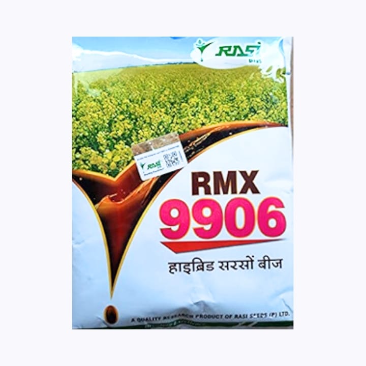 रासी RMX 9906 सरसों के बीज