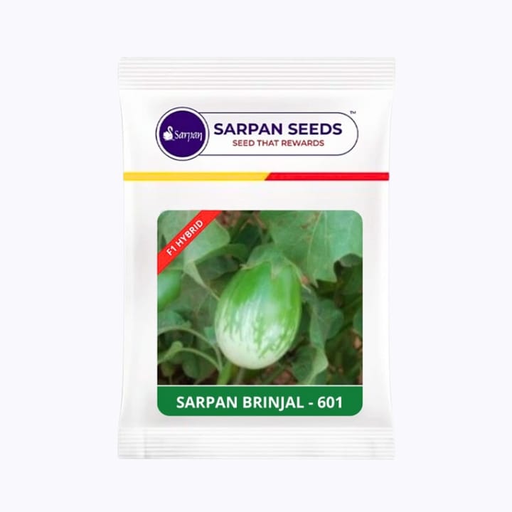 Sarpan 601 Brinjal Seeds