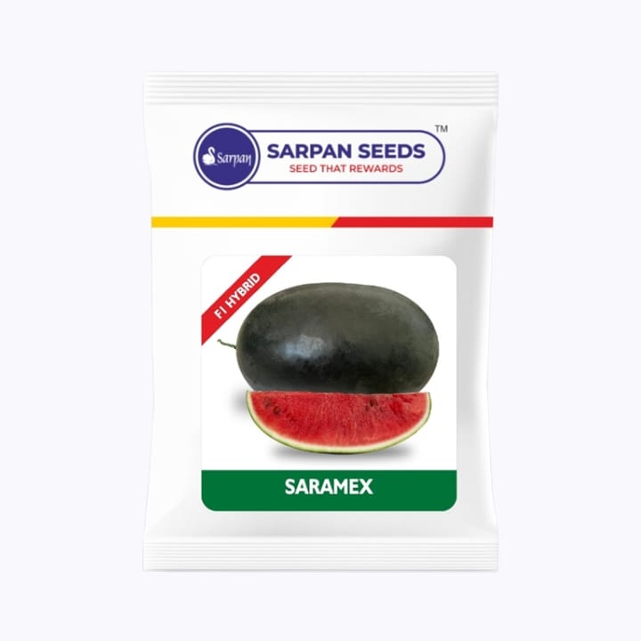 Sarpan Saramex Watermelon Seeds